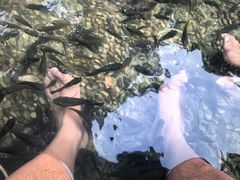 -融汇温泉