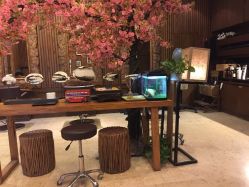 -红人馆造型世爵国际