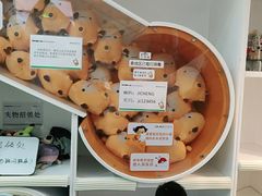 -极橙儿童齿科矫正中心(奥城店)