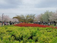 -石湖景区