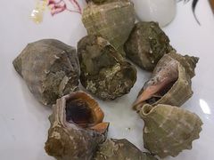 -渔码头食府(蓬莱阁店)