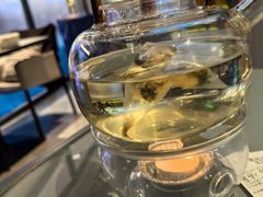 -小大董·烤鸭(观景餐厅·南京西路店)