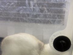 -艾贝尔宠物医院 ·中兽医·宠保定点(北门桥店)