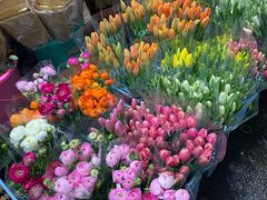 -循礼门鲜花花市(武汉循礼门店)