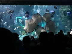 -南昌海洋公园