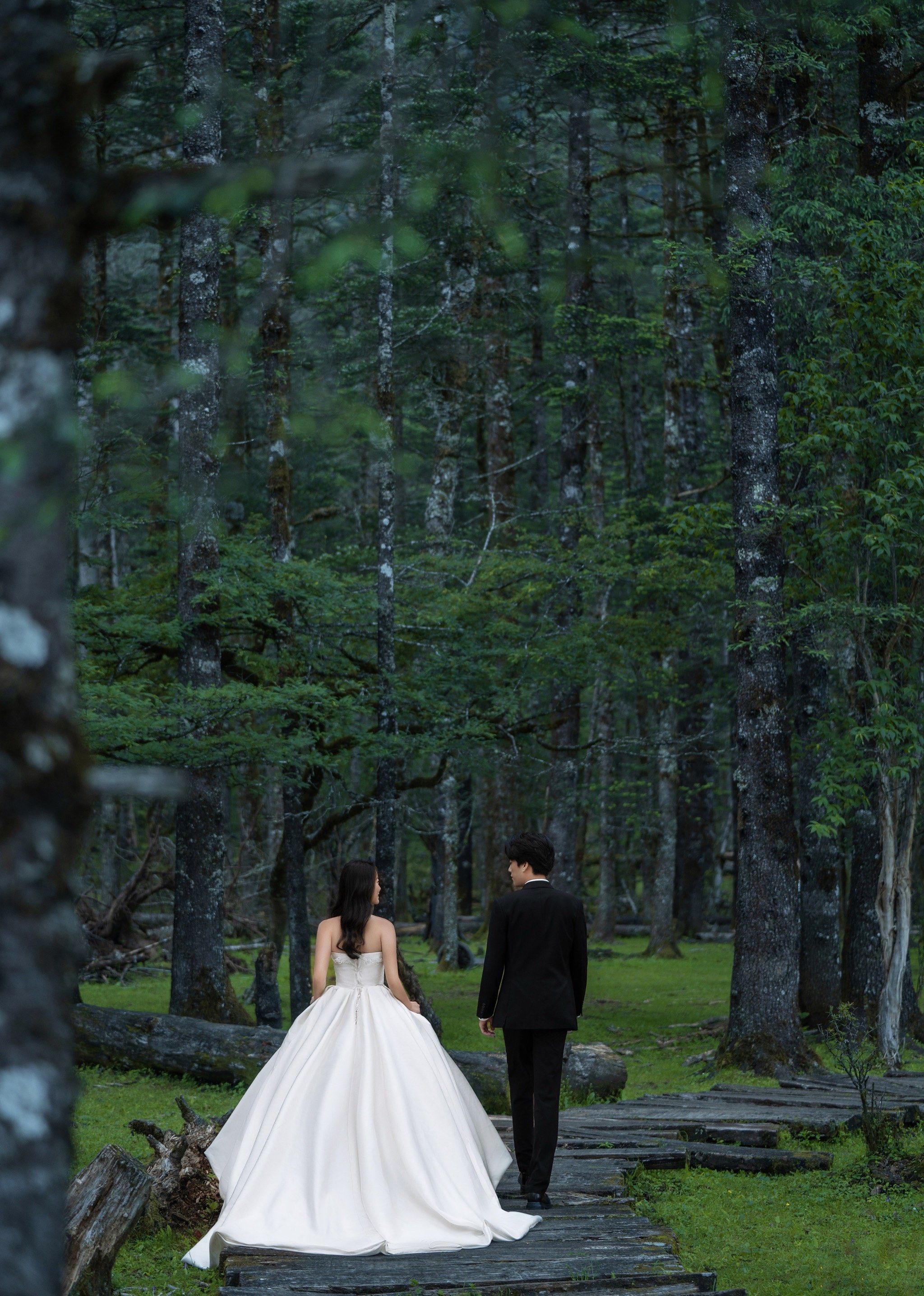 森林婚纱照