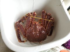 帝王蟹-白沙洲农产品大市场海鲜交易区