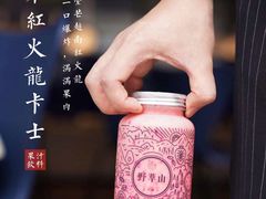 -野萃山·潮汕厚果汁(十亩地店)