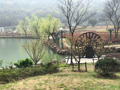 -龙寺生态园
