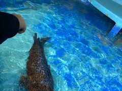 -太平洋海底世界