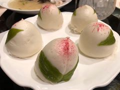 寿桃-新南华大酒店(长寿店)