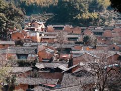 -杨家堂村