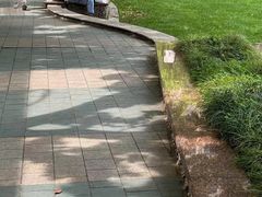 -上海交通大学医学院附属瑞金医院(总院)