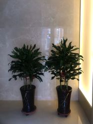 -觅屿日式脱毛美肤