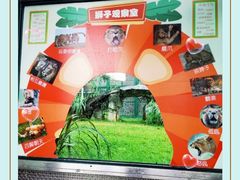 -广州动物园