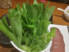 油麦菜-重庆小天鹅(英雄山路店)