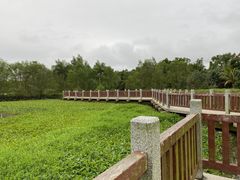-沙美村