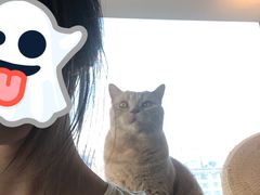 -Catmate·猫肥家润(金润铂宫店)