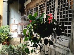 -文儒九号·闽菜馆(三坊七巷店)