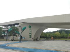 -中山市树木园