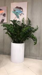 点击看大图 -八佰伴8008星级形象店