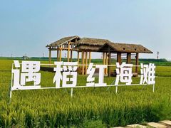 -红海滩国家风景廊道