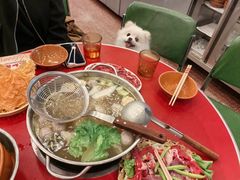 -潮汕•草根牛肉档(中江路店)