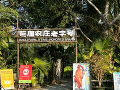 -芭厘农庄老字号·清远鸡