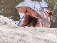 -银川动物园