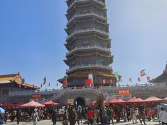 -金塔沙漠胡杨林景区
