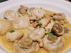 肉汁蘑菇-风波庄(罍街分舵)