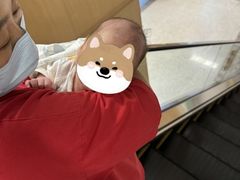-汇慈安·高端自营月嫂(武汉月子尊享店)