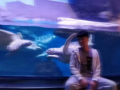 -霄汉羊排(万松园一店)