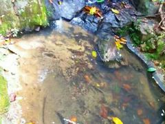 -白云山索道-售票处