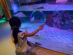 -沈阳海洋探索中心