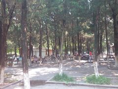 -白马涧龙池景区