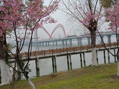 -艾溪湖湿地公园