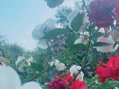 -人民公园(罗湖区)