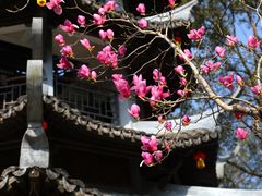 -温州永嘉书院