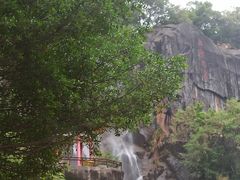 -金鸡山公园