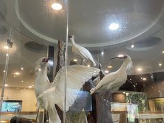 -下渚湖国家湿地公园科普馆