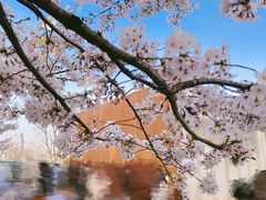-龙美术馆(西岸馆)