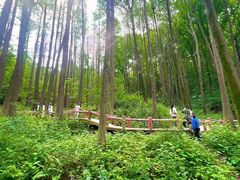 -波尔登森林公园