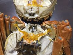 -乡乐园蟹庄·阳澄湖农家乐