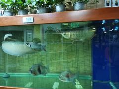 -红山会健身·普拉提(广安门店)