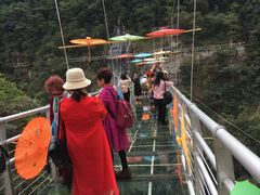 -九龙江国家森林公园