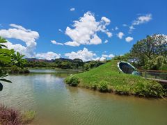 -福田红树林生态公园