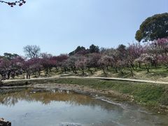 -无锡梅园公园