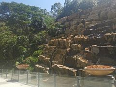 -厦门艾美酒店·新食谱西餐厅