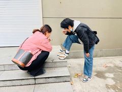 -罗子龙罗家桂花汤圆(曹都巷店)